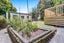 83 Peacockes Road, Fitzroy, Hamilton - Carousel 13