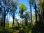 207 Tanglefern Row, Virgin Flat, Cape Foulwind - Carousel 13