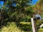 260 Wyuna Bay Road, Wyuna Bay, Coromandel - Carousel 22