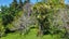 247A Stanley Road, Wainui, Opotiki - Carousel 28