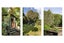 33 Phillips Drive, Tauranga - Carousel 33