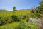 27 Einstein Street, Outer Kaiti, Gisborne - Carousel 20