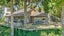 242 Konini Road, Titirangi, Auckland - Carousel 1