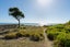 39A Oceanbeach Road, Mount Maunganui, Mount Maunganui - Carousel 28
