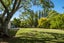 84 Te Hora Pa Road, Canvastown - Carousel 9