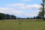 584B Orari Station Road, Geraldine - Carousel 2