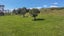 102 Arapuni Road, Putaruru - Carousel 10