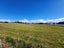 0 Livingstone Duntroon Rd - Carousel 9