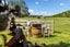 87 Balcairn Amberley Road, Balcairn, Amberley - Carousel 27