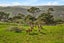 1382 Old North Road, Helensville, Helensville - Carousel 24