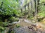 275 Lillis Lane, Coromandel, Coromandel - Carousel 5