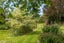 124 Loop Line, Opaki, Masterton - Carousel 37