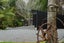 790 Belk Road, Omanawa, Tauranga - Carousel 5
