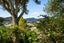 59 York Street, Picton - Carousel 33