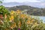 60 Ostend Road, Ostend, Waiheke Island - Carousel 20