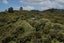 206 Colville Road, Coromandel - Carousel 12