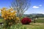 857A Poutakataka Road, Rotorua - Carousel 32