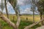 14A Sampson Road, Waerenga, Te Kauwhata - Carousel 20