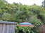 209B Scotsman Valley Road, Tauwhare, Waikato, Waikato - Carousel 7