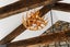 202 Broomfields Road, Whitford, Whitford - Carousel 7
