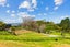 310 Cames Road, Wellsford - Carousel 27