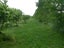 615 Pesters Road, West Eyreton, West Eyreton - Carousel 12