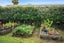 45 Kitchener Road, Waiuku, Waiuku - Carousel 20