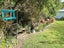 23 Haile Lane, Pohara - Carousel 18