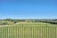63 Polson Hill Drive, Aokautere - Carousel 16