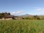 158 Te Tahi Road, Puketotara, Pirongia - Carousel 18