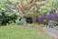 156 Condell Avenue, Papanui, Christchurch - Carousel 22