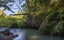 1238 Fern Flat Road, PERIA, KAEO - Carousel 7
