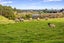 492 Carrington Road, Hurworth - Carousel 11