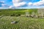 272 Huarau Road, Maungaturoto - Carousel 30