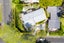77 Roseberry Avenue, Birkenhead, Auckland - Carousel 18