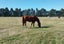 671 Browns Rock Road, Burnt Hill, Oxford - Carousel 29