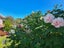 260A Edward Street, Coromandel, Thames-Coromandel, Waikato - Carousel 13