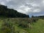 0 State Highway 7, Ikamatua, Blackball - Carousel 18