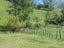 54 Whakapirau Road, Maungaturoto, Maungaturoto - Carousel 30