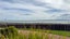 1 Springfield Avenue, Thornton Bay - Carousel 29