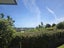 205 Brittan Street, Hokitika, Hokitika - Carousel 7