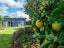 19C Riverview Road, Kerikeri, Kerikeri - Carousel 23