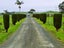 593 State Highway 1, Awanui, Awanui - Carousel 2