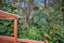 85 David Avenue, Hillpark, Auckland - Carousel 25