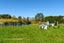 349 Wairoa Road, Tauranga - Carousel 19