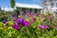 45 George Street, Hikurangi, Hikurangi - Carousel 19