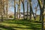 290 Lee Martin Road, Tamahere, Cambridge - Carousel 4