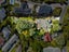 603 East Coast Road, Browns Bay, Auckland - Carousel 32
