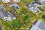 121A Kowhai Road, Mairangi Bay, Auckland - Carousel 38