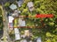 81 Liardet Street, Vogeltown, Wellington - Carousel 4